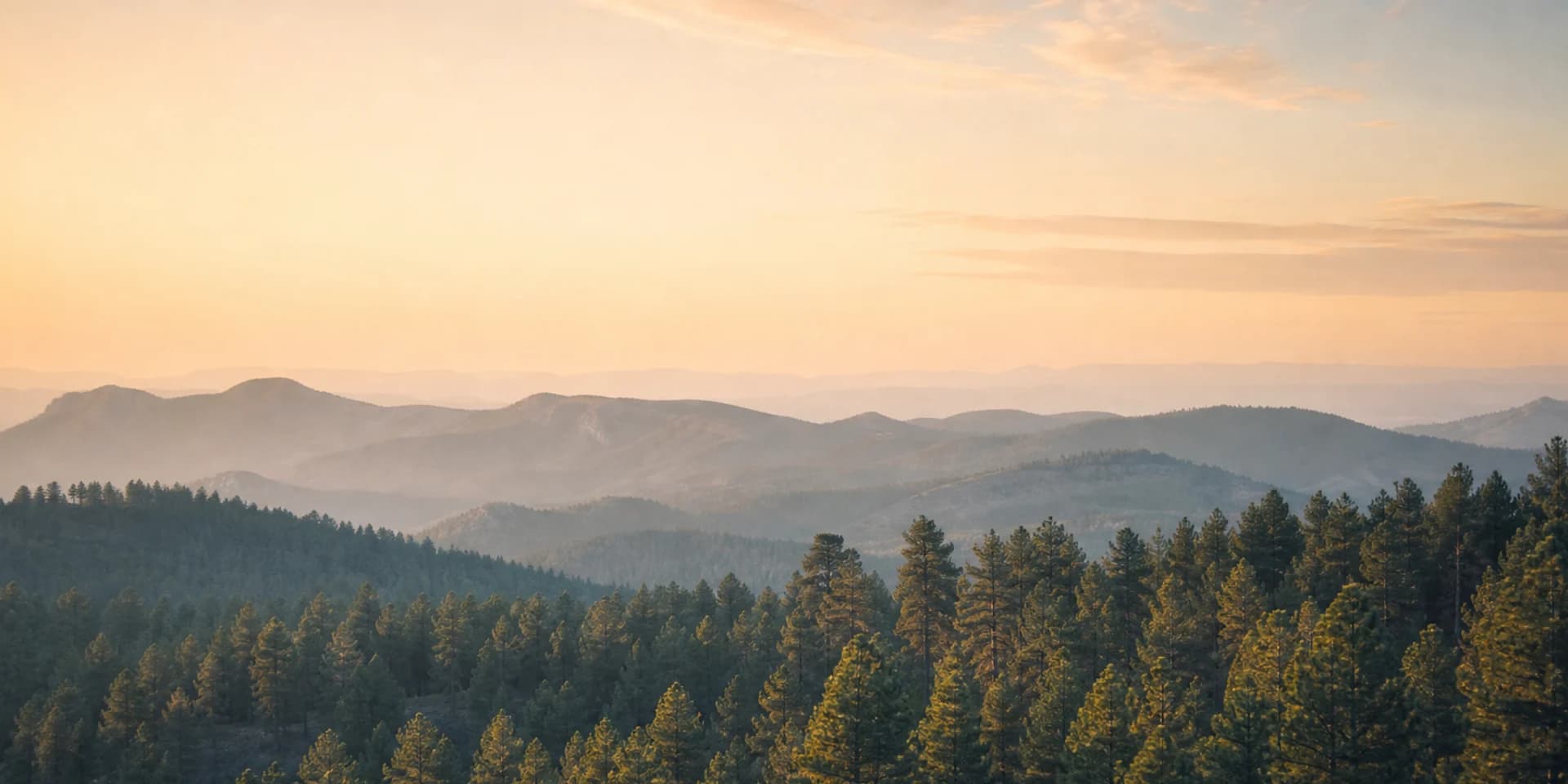 Illustrative Rim Country-inspired pine ridges at sunrise